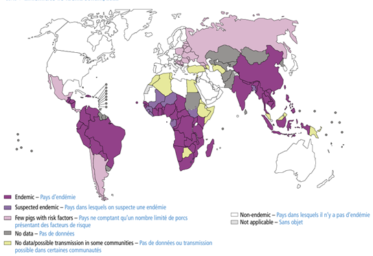 Endemicity of Taenia Solium. Source: World Health Organization