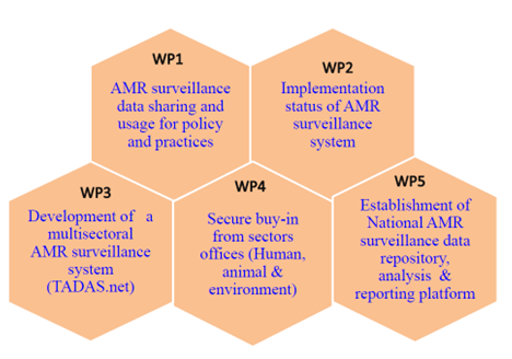 Work packages of the TADAS project 